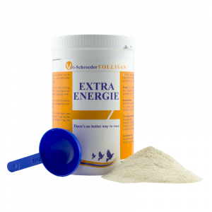 Schroeder Extra Energy