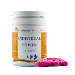 Vet schroeder individual power