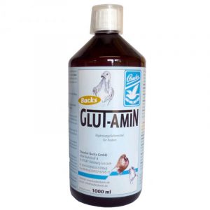 Backs-Glut-Amin-500ML