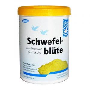 Backs-Zwavelbloem-600GR