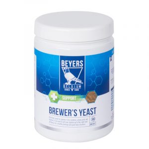 Beyers-Brewers