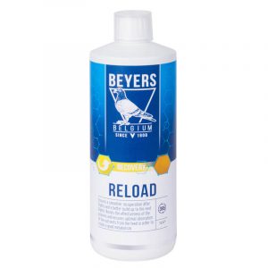 Beyers Reload