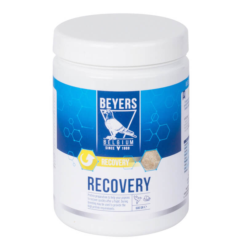 Beyers Recovery - 600 GR