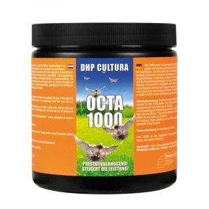 DHP Cultura Octa 1000