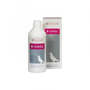 Versela-Laga B-Chol-500ML