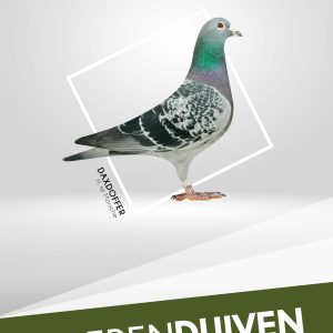 BoerenDuiven Kweek 20kg - Afbeelding 3