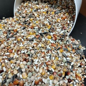 Alternative view of BoerenDuiven Kweek 20kg