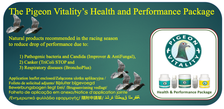 Health and Performance for Racing Pigeons - Afbeelding 2