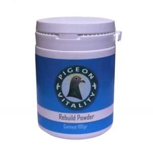 Rebuild Powder™