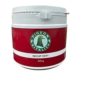 RECUP-Oxy-Plus