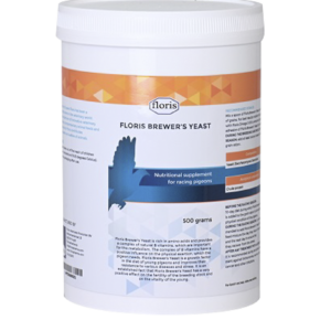 Brewer’s Yeast