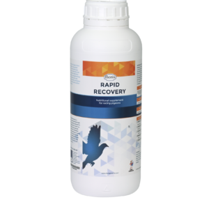 Rapid Recovery