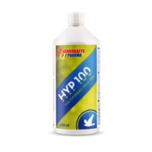 HYP 100