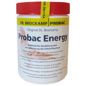 Brockamp Procbac Energy