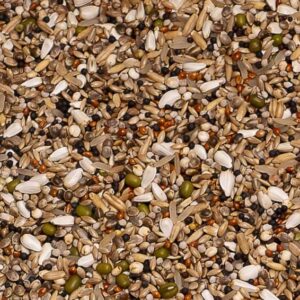 4kg Duivensnoepzaad exclusief