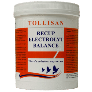Tollisan Recup Electrolyt Balance